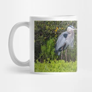 The Great Blue Heron In A Green Surround Mug